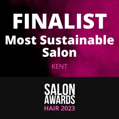 Sustainable Salon Award